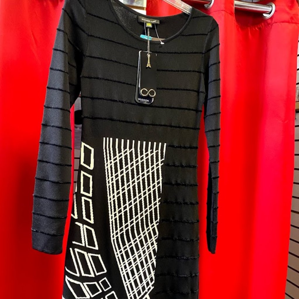 Brand New Paris Waggon Dress